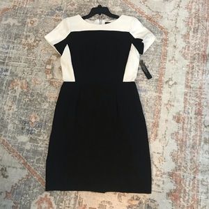 Tahari Colorblock Crepe Shift Dress NWT